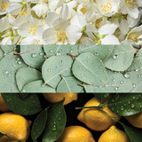 Cap D'Antibes Extrait de Parfum Twist & Spray Set scent notes