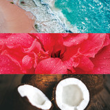 Château Vizcaya Extrait de Parfum Twist & Spray Set Scent notes