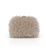 Champagne | Estelle Fully Beaded Fringe Minaudiere