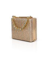 Champagne | Serenity Crystal Box Clutch