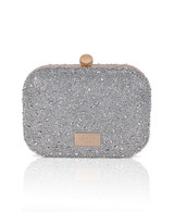 Silver | Celest Crystal Mini Minaudiere Clutch Back