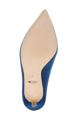 Blue | Cher Pointed Toe Evening Pump