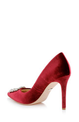 Bordo Velvet | Cher Pointed Toe Evening Pump