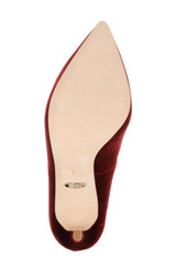 Bordo Velvet | Cher Pointed Toe Evening Pump