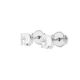 TXE01985-WGGD | Classic Diamond Stud Earrings